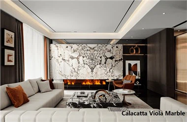 غرفة المعيشة بلاط الرخام